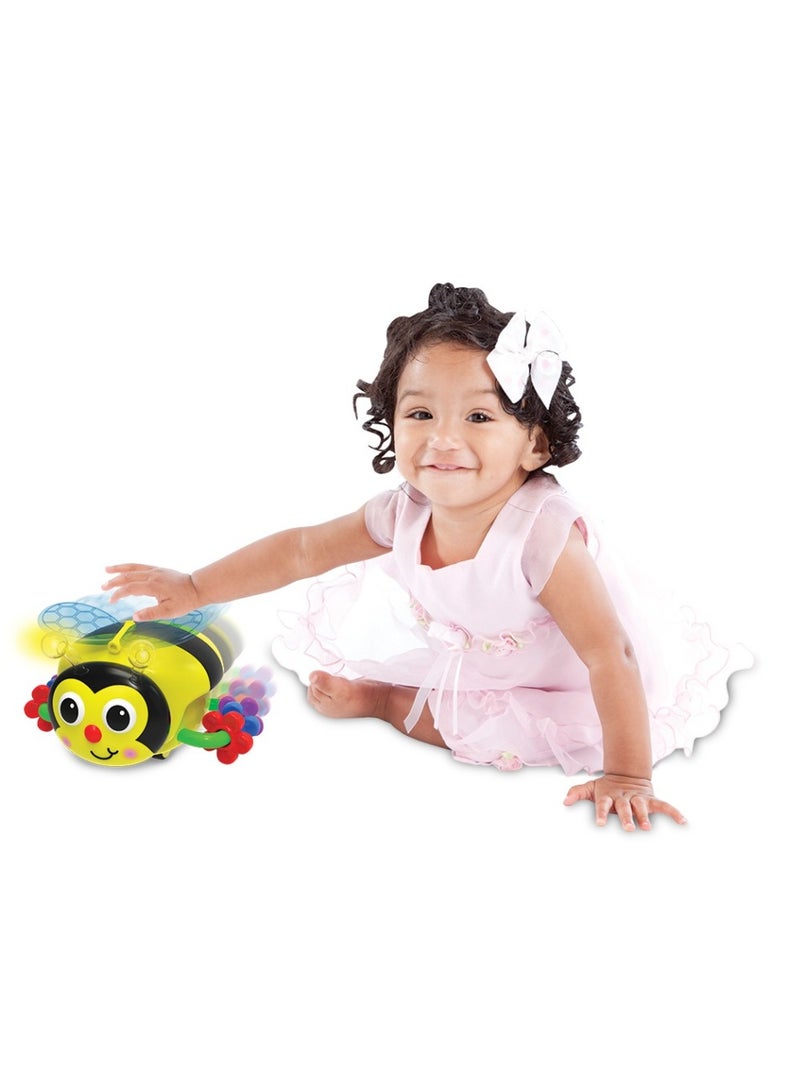 THE LEARNING JOURNEY - EARLY LEARNING! CRAWL ABOUT -BEE - Image 2