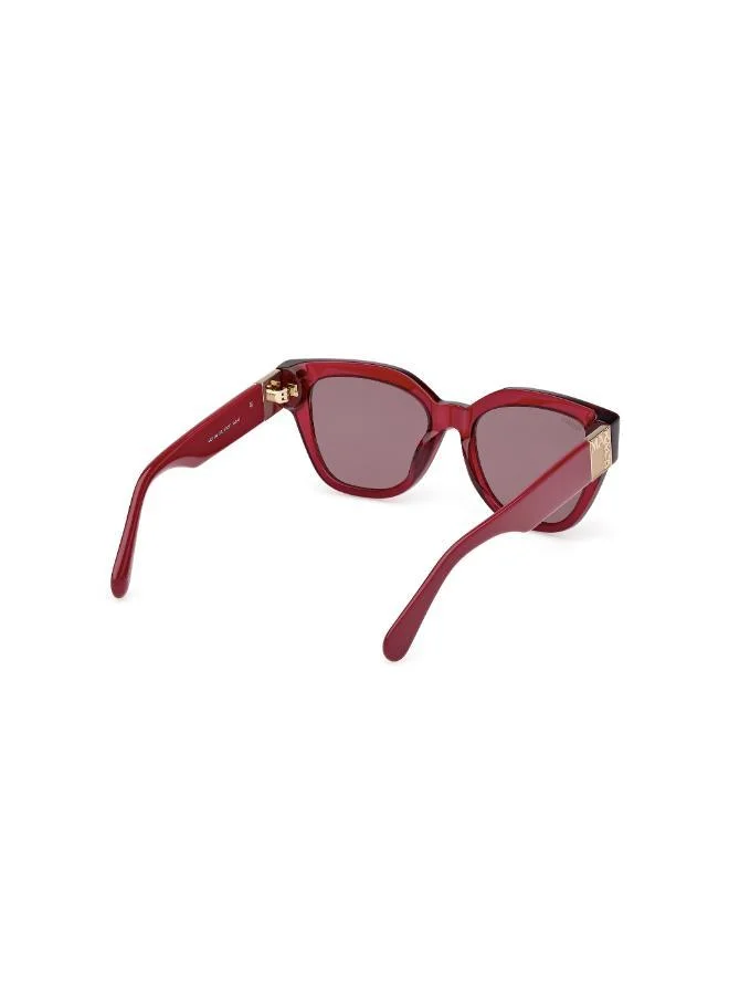 MAXCO  wayfarers sunglasses for Women | Best Price UAE