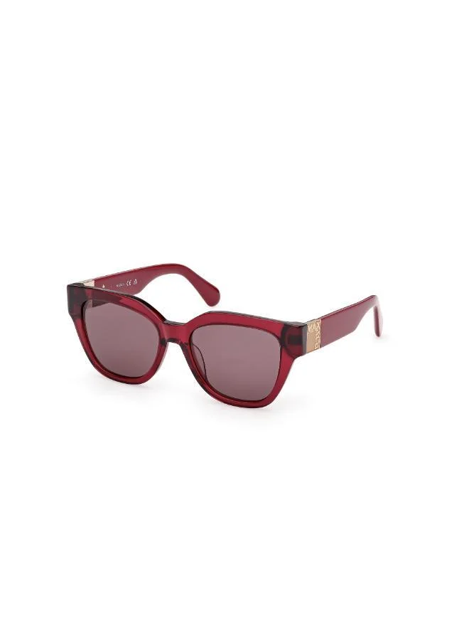 MAXCO  wayfarers sunglasses for Women | Best Price UAE