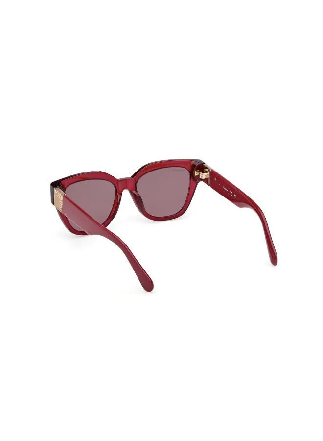 MAXCO  wayfarers sunglasses for Women | Best Price UAE