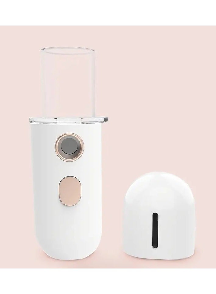 أوريتي اليد المحمولة الوجه مرطب أداة الجمال البارد المحمولة - Image 2