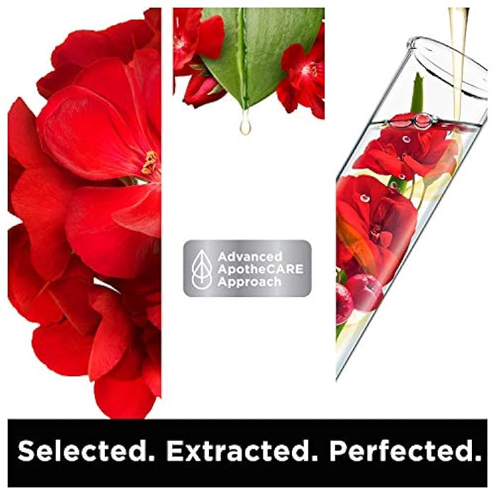 ApotheCARE Essentials The Booster Shampoo Rosehip Oil, Geranium, Aloe Vera 12 oz - Image 4