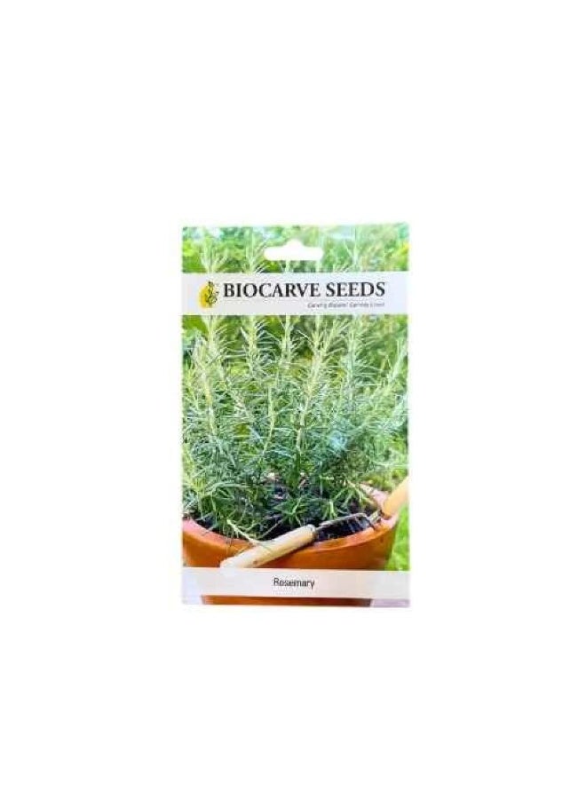 BIOCARVE SEEDS Rosemary seeds - Image 1