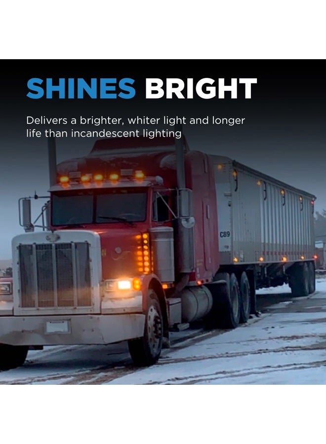 Wagner Lighting H6024 Standard Multi-Purpose Light Bulb Box of 1 - Image 5