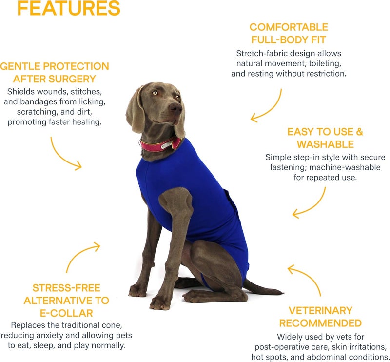 KVP Recova Shirt E-Collar Alternative Pet Recovery Collar, Large - Image 2