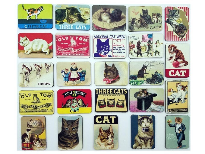 CAT FRIDGE MAGNETS REFRIGERATOR MAGNET MAGNETIC SOUVENIRS MINI SMALL VINTAGE RETRO FOR STAINLESS STEEL BOARD KITCHEN CAR OFFICE SET OF 24