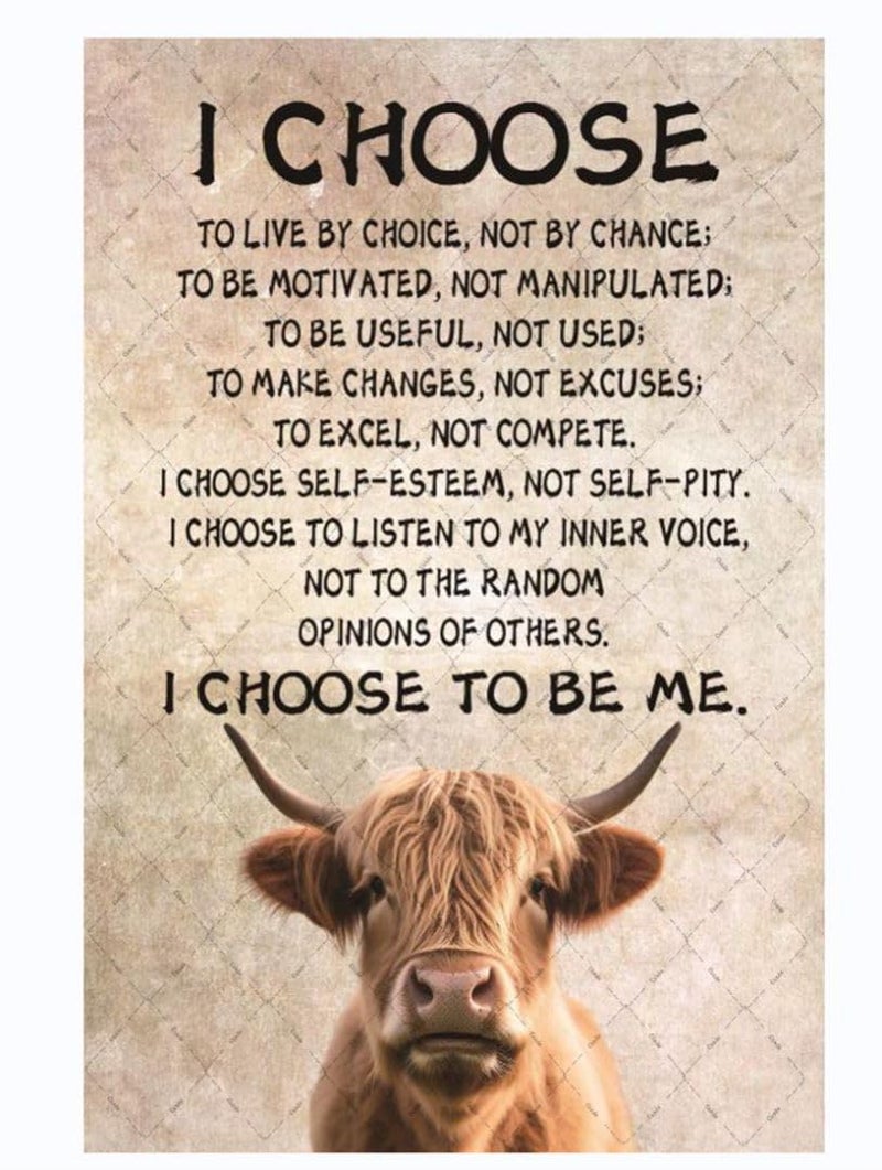 Cusde Highland Cow Metal Tin Sign I Choose To Be Me Wall Decor Motivational Inspirational Quotes Wall Art Retro Decor Vintage Decoration Posters Gifts for Bar Pub Bedroom Living Room 12x8 Inches - Image 1