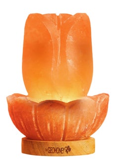 GEOHONEY Geohoney - Himalayan Salt Lamp Lotus  - Image 1