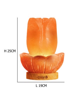 GEOHONEY Geohoney - Himalayan Salt Lamp Lotus  - Image 3