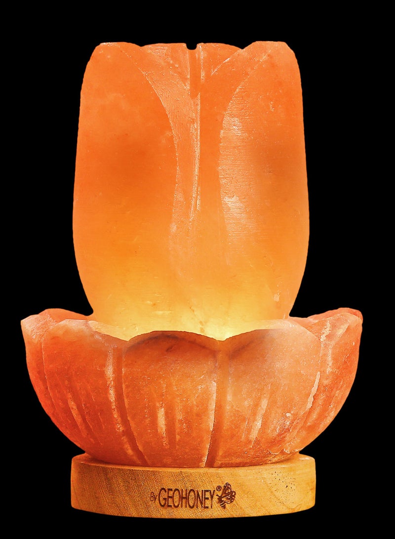 GEOHONEY Geohoney - Himalayan Salt Lamp Lotus  - Image 4