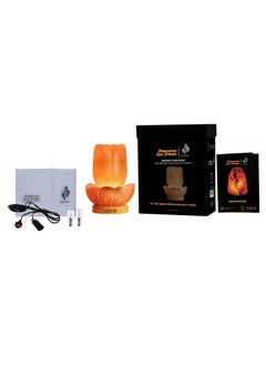 GEOHONEY Geohoney - Himalayan Salt Lamp Lotus  - Image 5