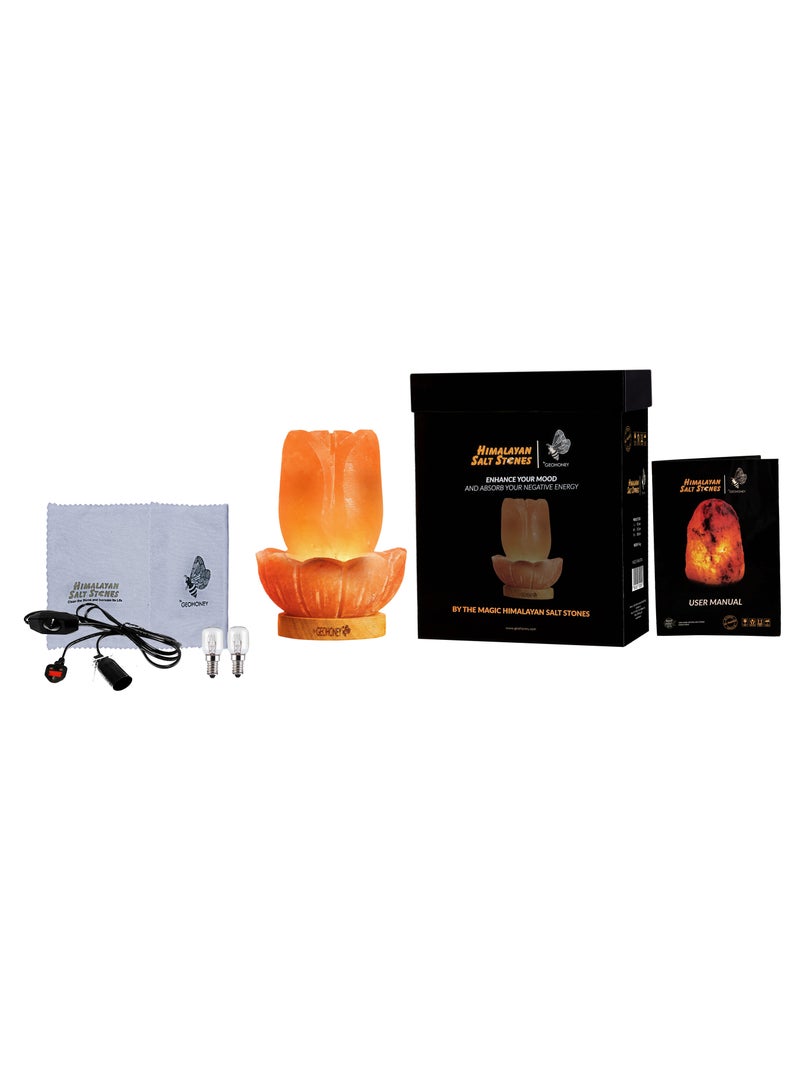GEOHONEY Geohoney - Himalayan Salt Lamp Lotus  - Image 5