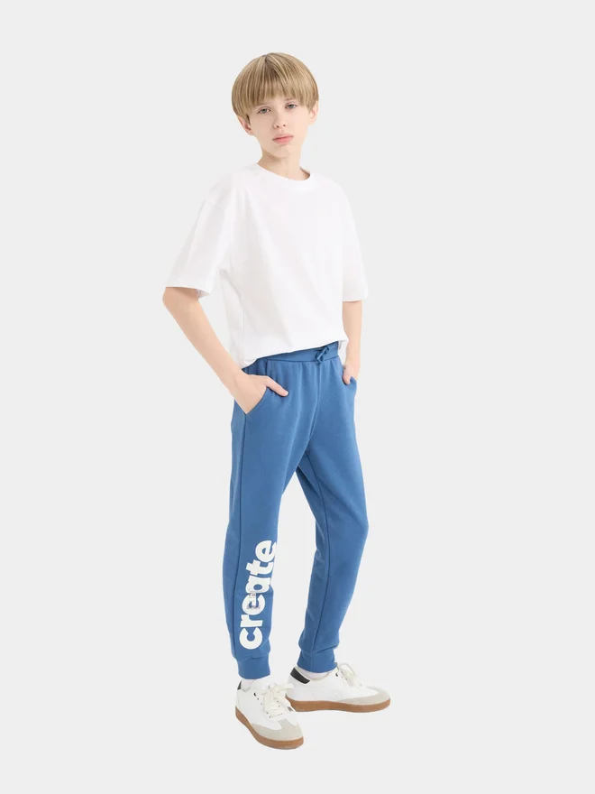 DeFacto DeFacto Kids Blue Printed Jogger Pants