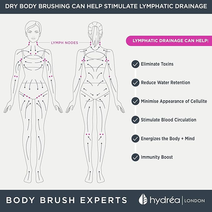 Hydrea London Body Brush Exfoliating Dry Scrubber Cellulite Remover Skin Exfoliator Helps Improve Lymphatic Flow 100 Vegan FSC Certified Beechwood Natural Cactus Bristle