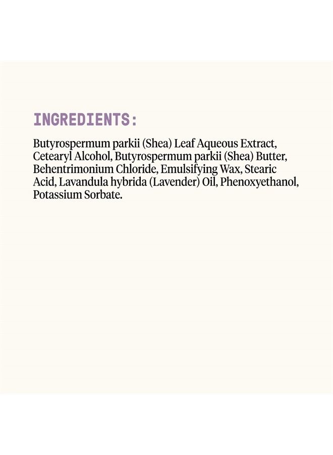 Alaffia EveryDay Shea Conditioner, Moisturizes, Restores and Protects, Made with Fair Trade Shea Butter, Cruelty Free, No Parabens, Vegan, Lavender 32 Fl Oz - Image 2