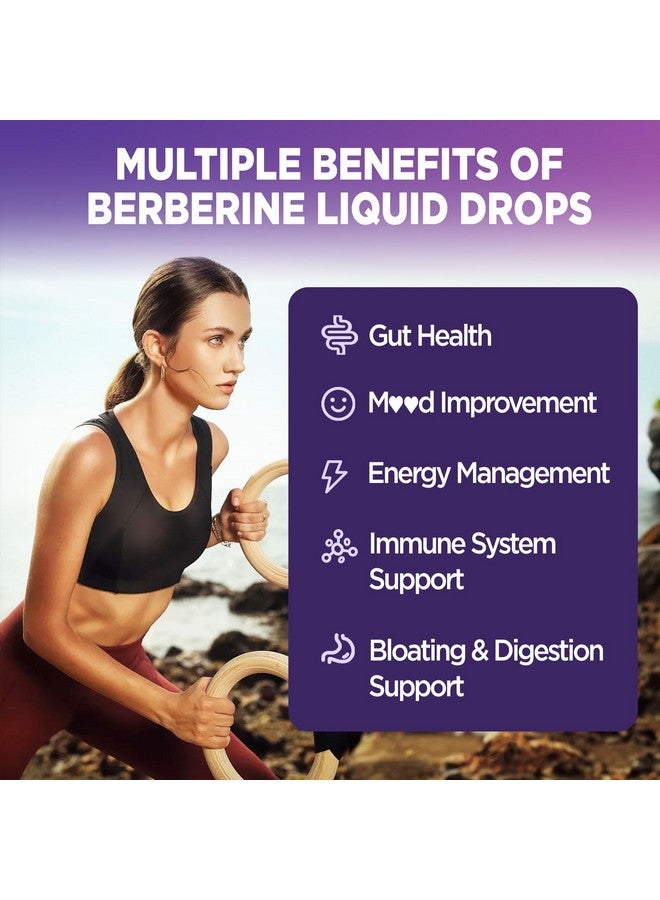 Hollegend قطرات بربرين سائلة ليبوسومال خالية من السكر، مستخلص بربرين مع مكمل قرفة سيلون للبالغين، دعم المناعة والهضم، نكهة ليمون طبيعية، 2 أونصة سائلة - Image 3
