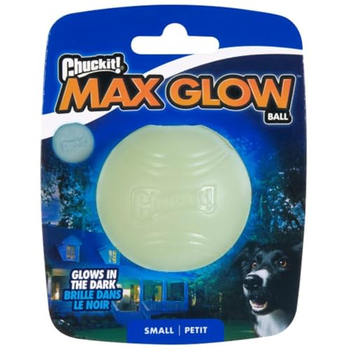 CHUCKIT Max Glow Balls, Small - Image 1