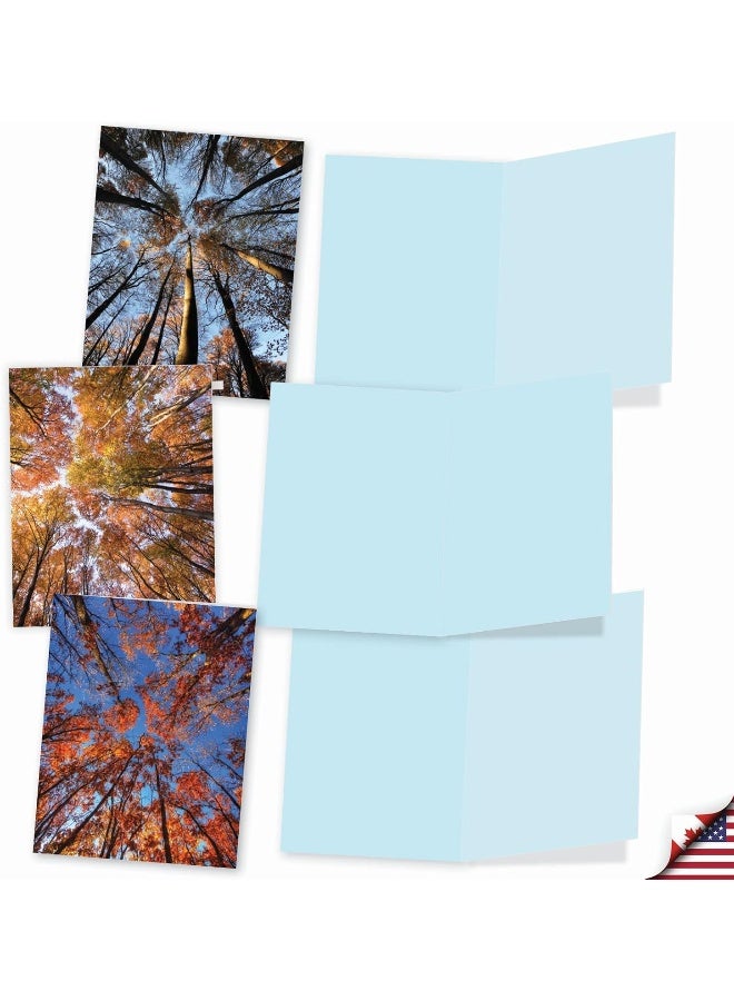The Best Card Company 10 Beautiful Note Cards Blank - Fall and Autumn Season, Boxed Notecard Assortment - Image 3