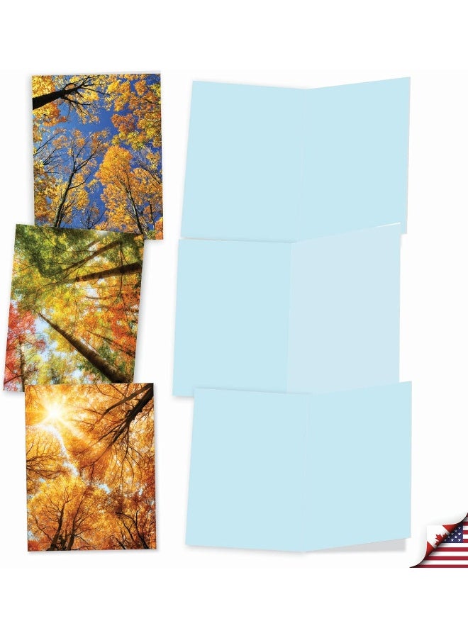 The Best Card Company 10 Beautiful Note Cards Blank - Fall and Autumn Season, Boxed Notecard Assortment - Image 4