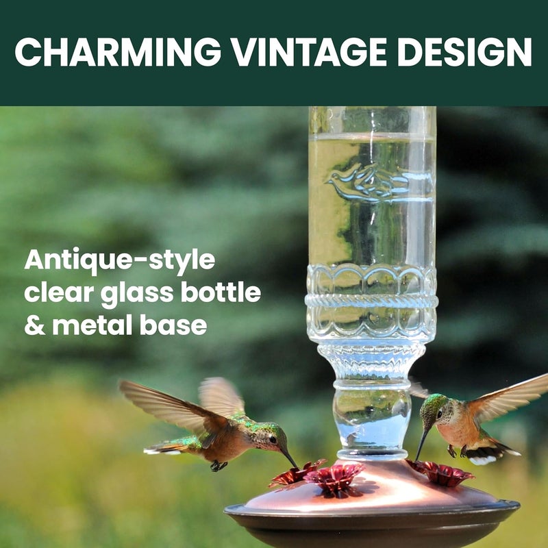 Perky-Pet 8107-1SR Antique Glass Bottle Hummingbird Feeder - Outdoor Garden Décor Hummingbird Feeder - Image 3
