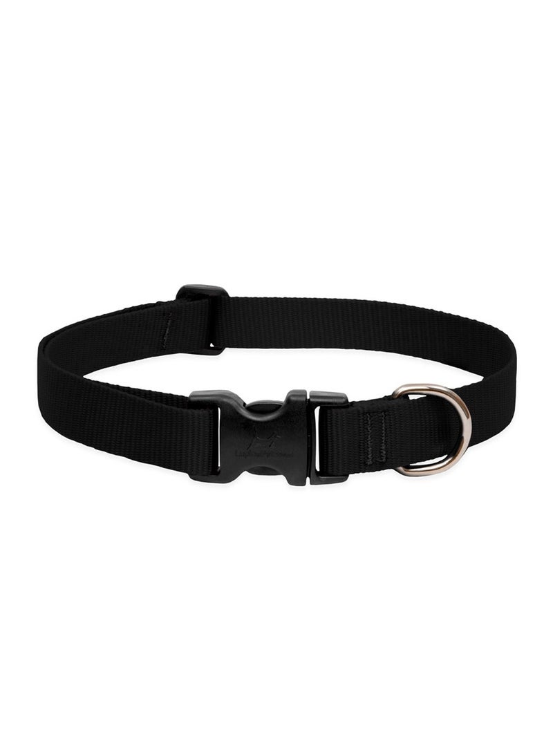 Lupine Pet Basic Solids Dog Collar  - Black