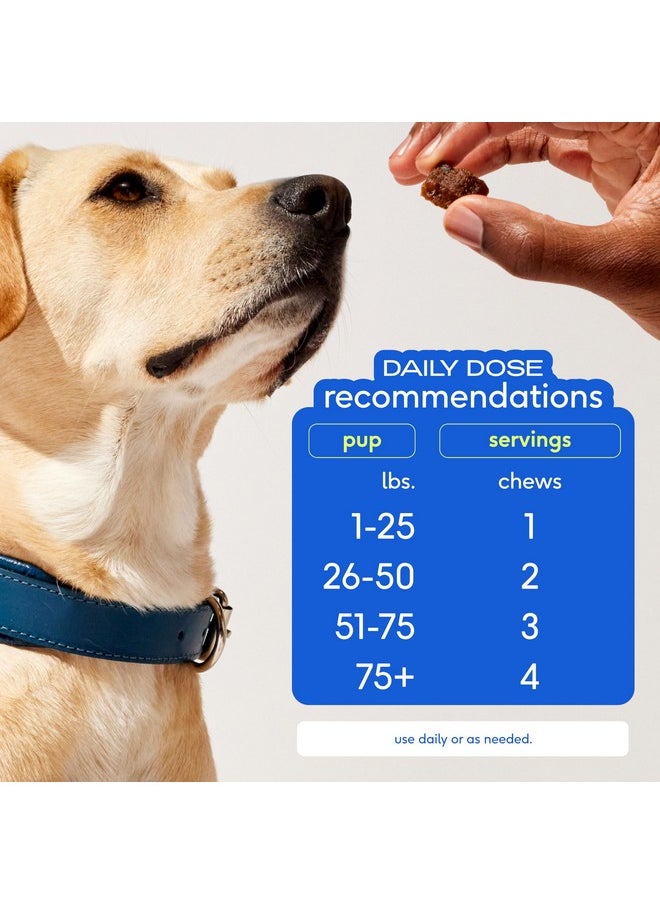 native pet - Skin And Coat Chews For Dogs  Made With WildCaught Salmon Oil For Dogs Skin And Coat  Omega 3 For Dogs  Dog Shedding Supplement For Dog Hair Loss Treatment, Dog Hair Regrowth  60 Chews - Image 1