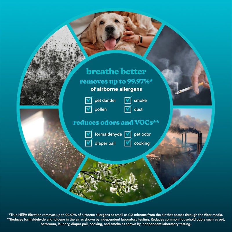 HoMedics فلتر بديل True HEPA من Homedics متوافق مع جهاز تنقية الهواء Homedics APT200 و APT2503 لإزالة الغبار وتنظيف الهواء وإزالة الروائح المنزلية فلتر كربون نشط لإزالة روائح الحيوانات الأليفة - Image 5