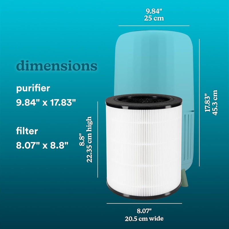 HoMedics فلتر بديل True HEPA من Homedics متوافق مع جهاز تنقية الهواء Homedics APT200 و APT2503 لإزالة الغبار وتنظيف الهواء وإزالة الروائح المنزلية فلتر كربون نشط لإزالة روائح الحيوانات الأليفة - Image 4