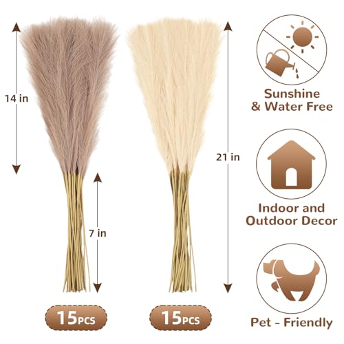JOLYEAK 30pcs Pampas Grass Decor,21" Artificial Pompous Grass Bulk,Small Vase Filler Pompas Grass for Home Wedding Living Room Wall Party Decoration (Beige,Light Brown, 21 Inch 30 Pcs) - Image 2