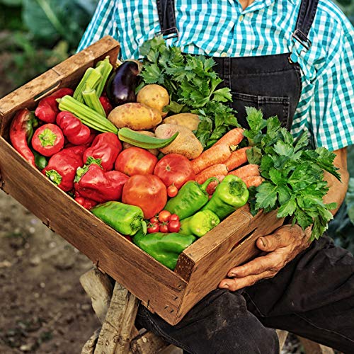 Hengulus The Old Farmer's Almanac Organic Tomato & Vegetable Plant Food Fertilizer - Image 5