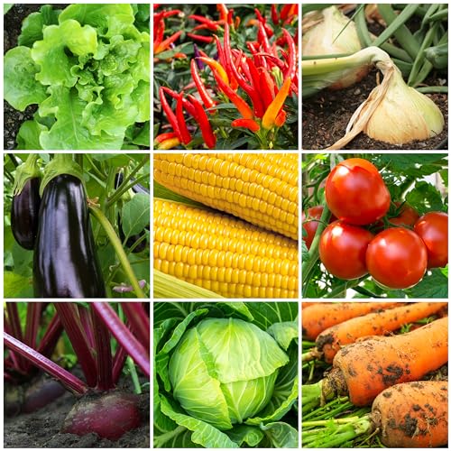 Hengulus The Old Farmer's Almanac Organic Tomato & Vegetable Plant Food Fertilizer - Image 4