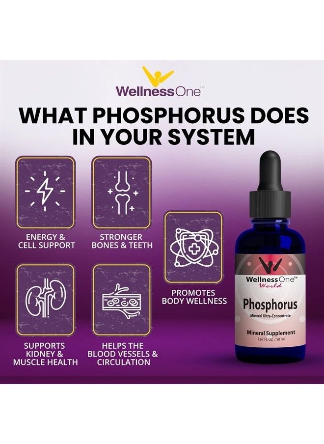 WellnessOne - Phosphorus Liquid Supplement 50 mg - Ionic Phosphorus Supplement for Healthy Bones & Teeth - Protein Production & Energy Support for Kids & Adults - Non GMO, Vegan, Gluten Free - 1.67fl oz - Image 1