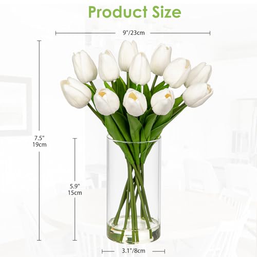 DILATATA 12 Pcs Artificial Real Touch Tulips Flowers in Glass Vase with Faux Water Tulips Fake Arrangements White Tulips with Vase for Dining Table Home Decor Wedding Centerpieces - Image 3