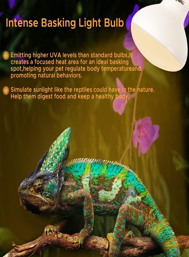 ToxiRium Reptile Heat Lamp 75W Sun Lamp Self-Ballasted Vapor Basking Spot Lamp/Bulb/Light for Reptile and Amphibian E26-2pcs - Image 4