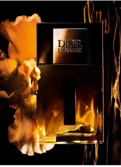 Dior Homme EDP 100ml - pzsku/Z77E5C9F7D17E8A947280Z/45/_/1740414636/c040cbd1-0648-4812-bc8b-7225390e10b5