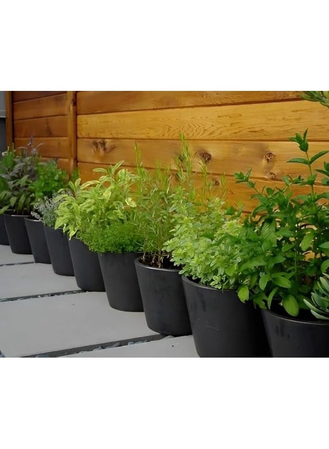 KITCHEN HERBS (4 PIECES) - Image 1