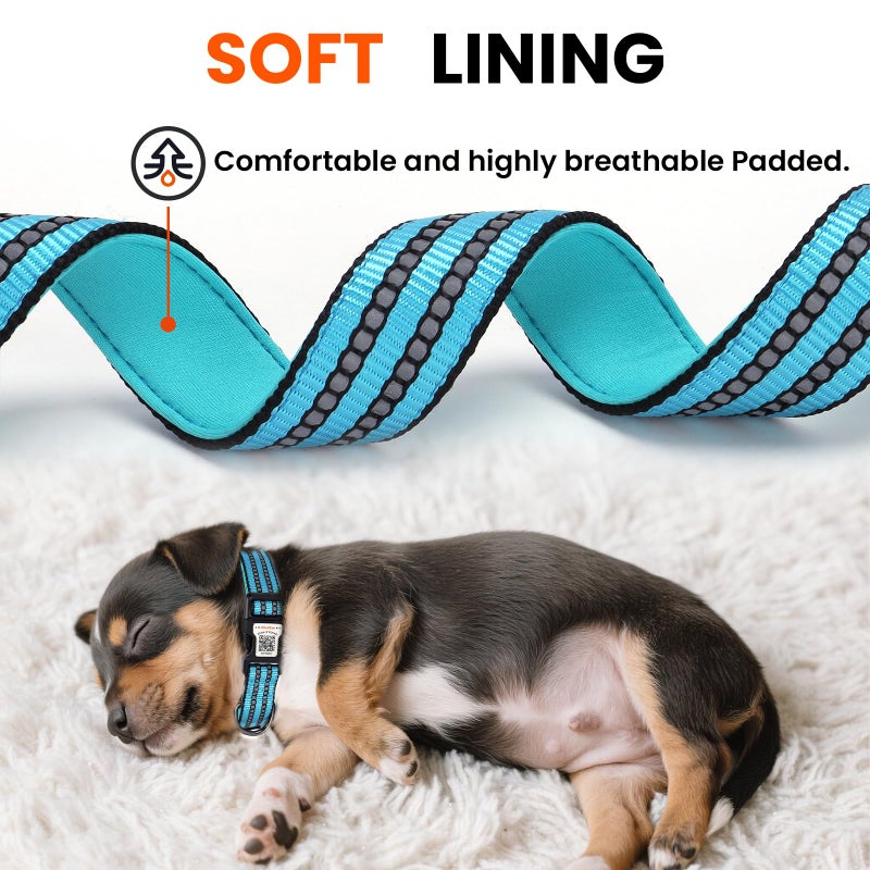 ilFindYou Reflective Dog Collar with QR Code Tag, Personalized Dog Collar, Safety Night Visibility, Anti-Loss Function (Blue, Medium) - Image 3