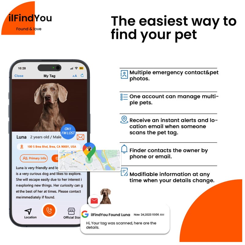 ilFindYou Reflective Dog Collar with QR Code Tag, Personalized Dog Collar, Safety Night Visibility, Anti-Loss Function (Blue, Medium) - Image 2