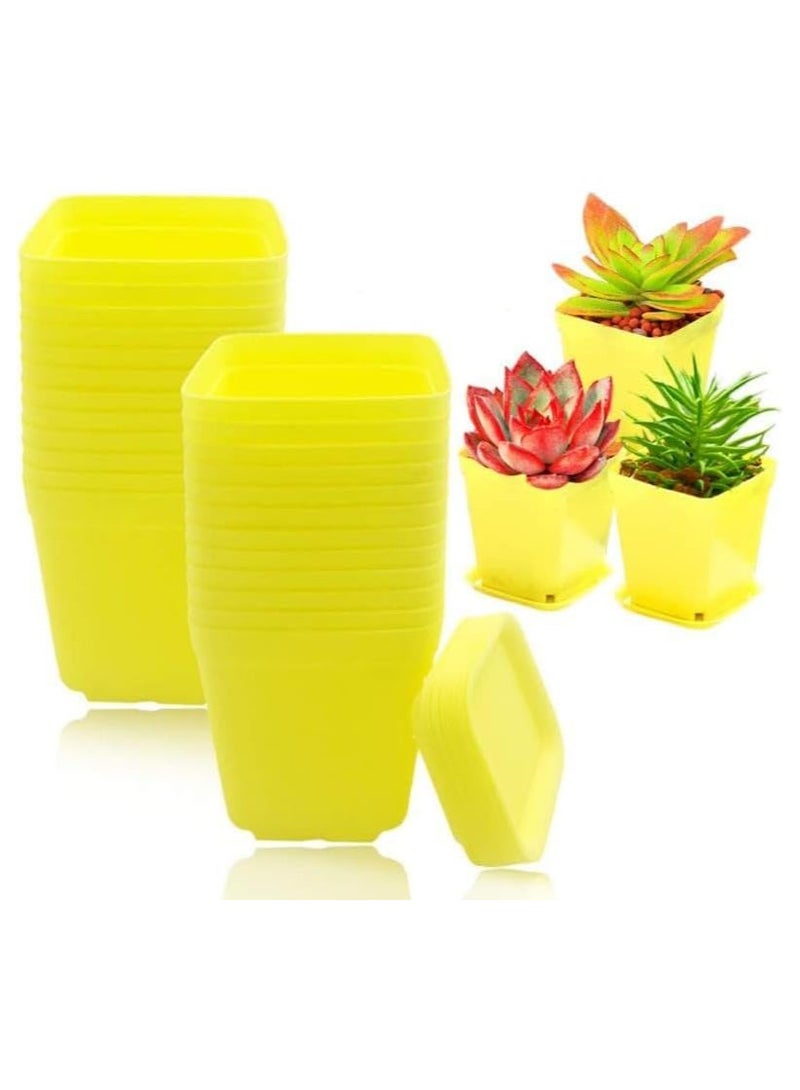50 PCS Seed Starting Pots, 7cm Plastic Nursery Pots Square Plant Pots Fruit Plant Pots Flower Plant Containers Seedling Containers Cutting Transplant Pots Gardening Supplies for Fruit Vegetable Plant (Yellow)