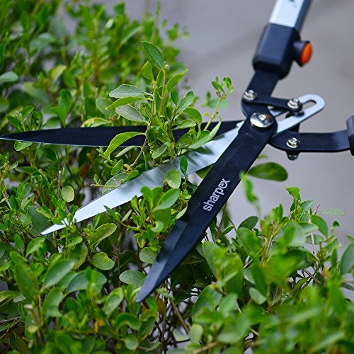 Sharpex Heavy Duty Hedge Shear with Sharp Blade, Spring Loaded Fuction and Comfortable Handle | Hedge Pruner Shear Grass Cutter for Outdoor Gardens (3 Blade Hedge Shear) - Image 3