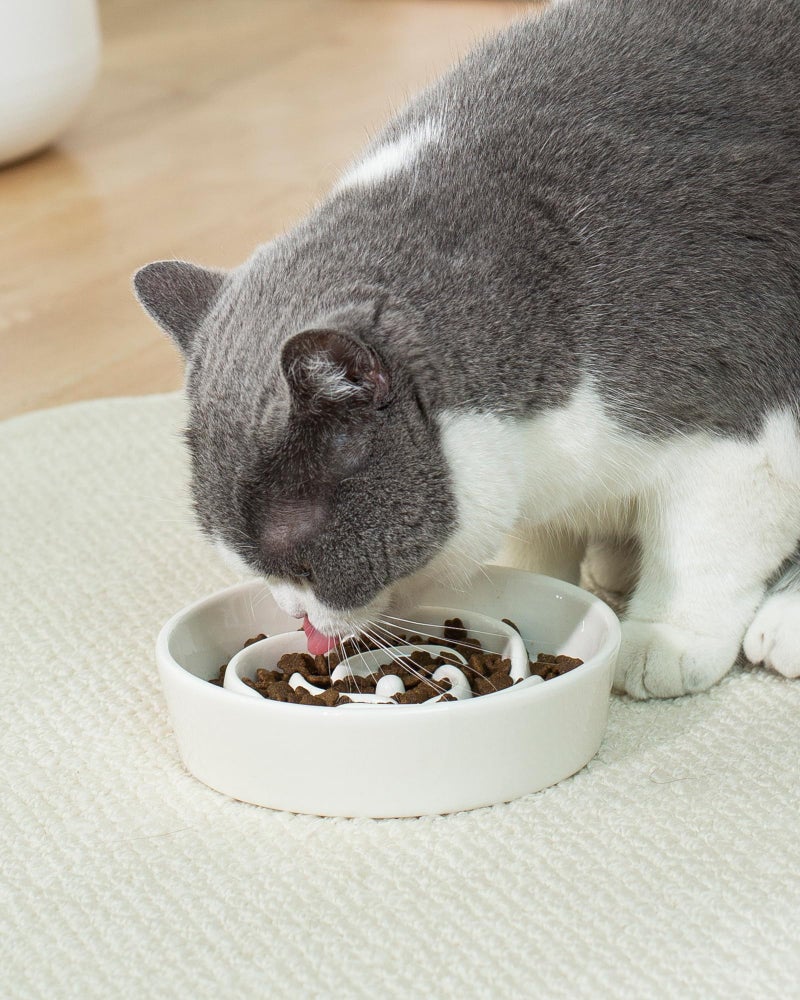 TRUVIC Ceramic Slow Feeder Dog Bowls Small Breed, 0.6 Cup Slow Feeder Cat Bowls for Fast Eaters, Ceramic Dog Food Dish no Black Chin, Puzzle Bowl for Small Dogs and Cats, White - Image 2