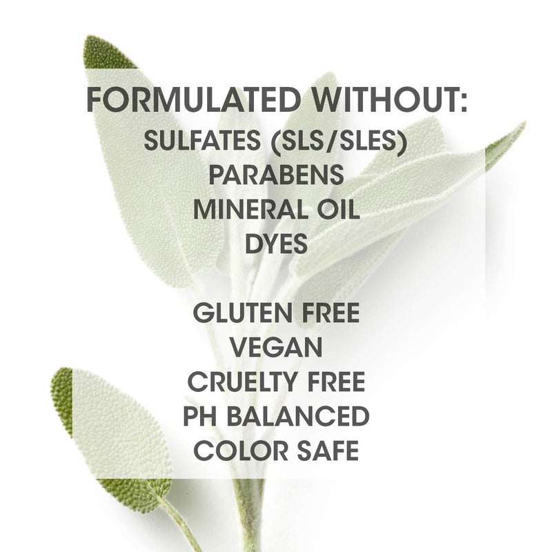 SEVEN Hair Care Cubica Clarifying Shampoo for Women & Men, Detox and Minimize Dry Scalp + Buildup with Rosemary, Eucalyptus & Rose Hip Oil, Cruelty Free, Sulfate Free, Made in USA, 7 oz - Image 2