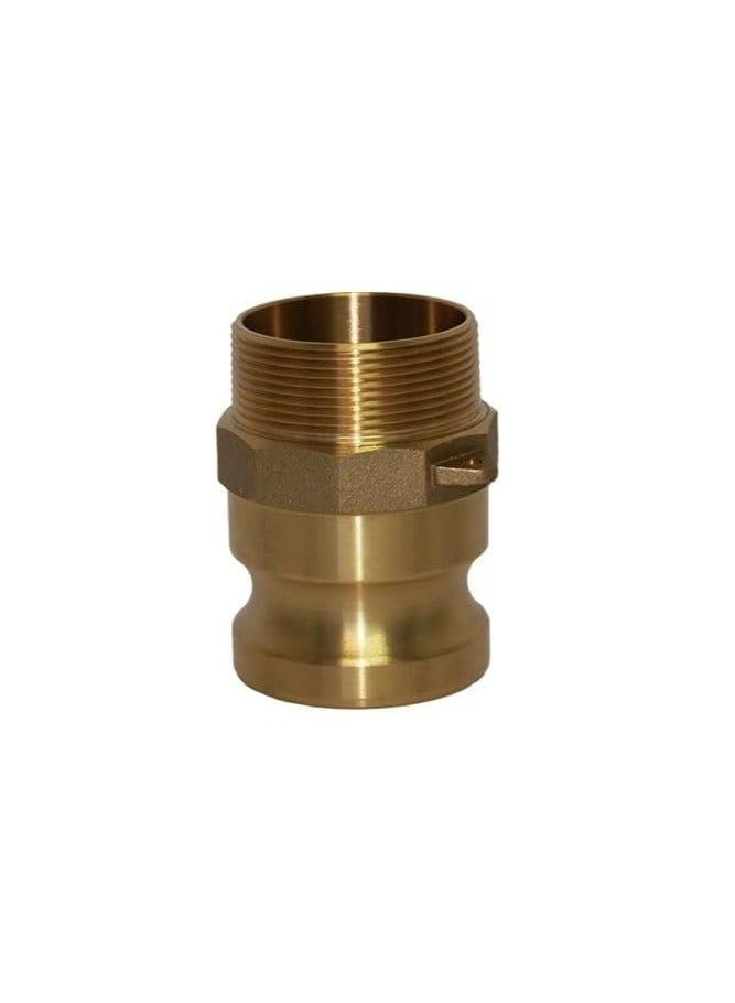 Brass Camlock Coupling Part F (BSPT 6'') - Image 1