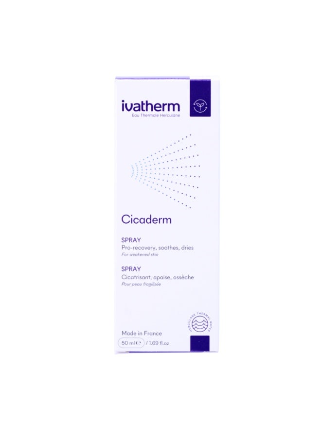 CICADERM SPRAY PRO-RECOVERY SOOTH 50ML