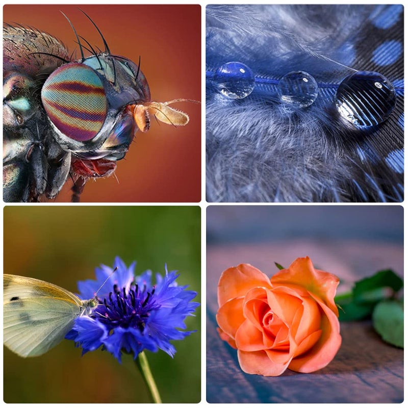 Mcoplus N-PA Metal Auto Focus Macro Extension Tube Set for Nikon DSLR Cameras D7200 D7100 D5600 D5300 D5200 D5100 D3400 D3300 D3200 D3100 D750 D90 D80 etc - Image 4