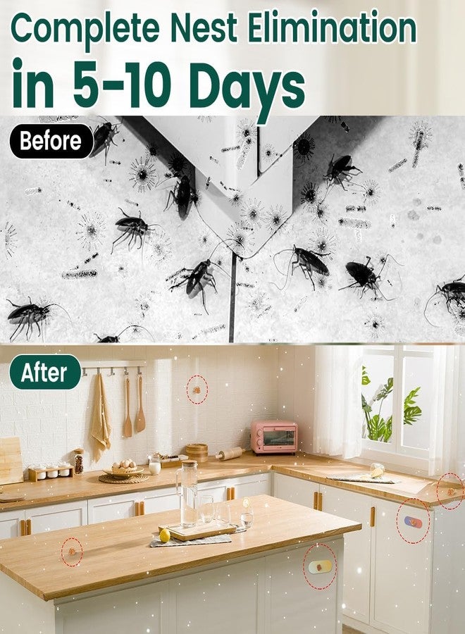SHoRI Arbuda Roachbait Cockroach Killer Gel - Fast-Acting Roach Bait for Indoor Use, Safe for Kids & Pets - Eliminates for Home, Kitchen, Cockroaches - Long-Lasting Protection - 35g Ge (PACK OF -1) - Image 5