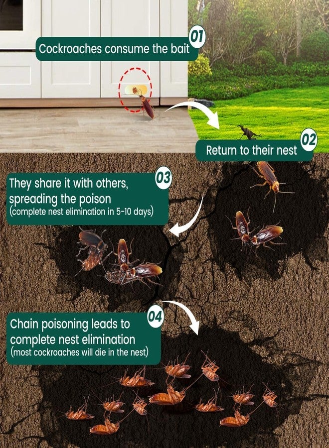 SHoRI Arbuda Roachbait Cockroach Killer Gel - Fast-Acting Roach Bait for Indoor Use, Safe for Kids & Pets - Eliminates for Home, Kitchen, Cockroaches - Long-Lasting Protection - 35g Ge (PACK OF -1) - Image 3