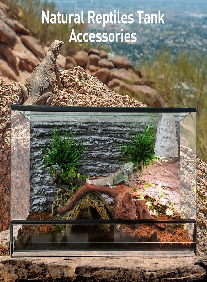 WDEFUN Natural Driftwood for Aquarium Decor, 2-Piece 10''-14'' Large Driftwood for Decorations on Fish Tank, Reptiles Bearded Dragon Accessories or Air Plants - Image 5