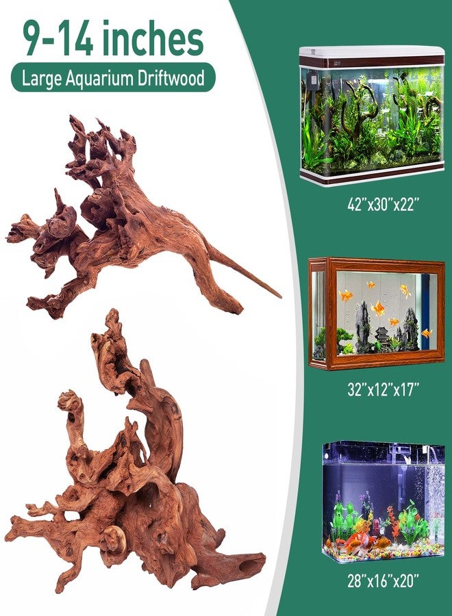 WDEFUN Natural Driftwood for Aquarium Decor, 2-Piece 10''-14'' Large Driftwood for Decorations on Fish Tank, Reptiles Bearded Dragon Accessories or Air Plants - Image 2