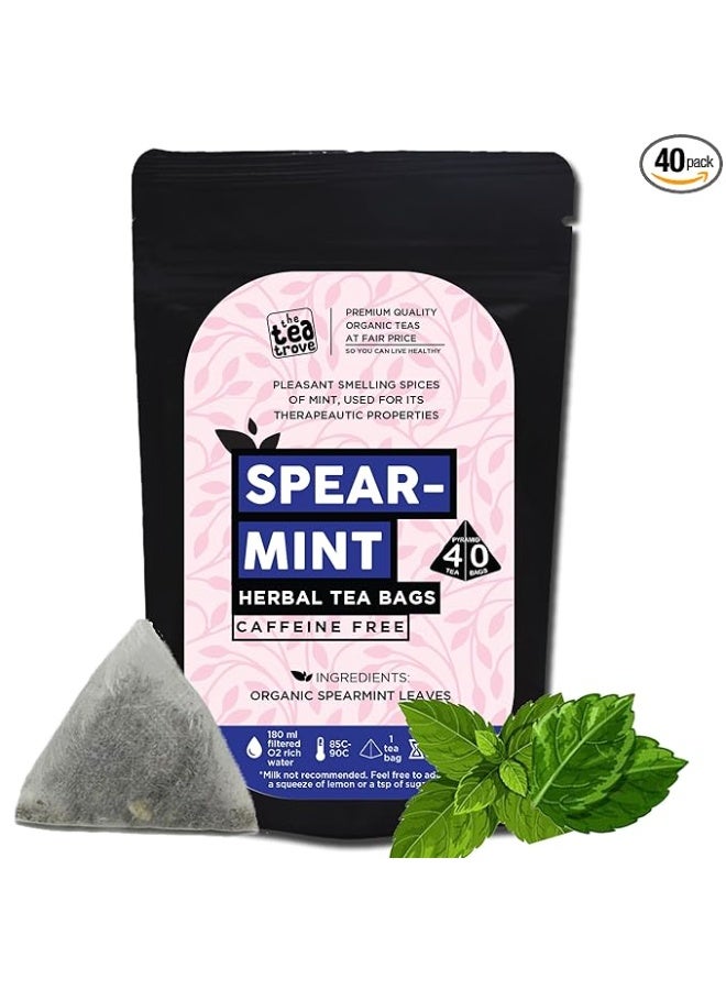 the tea trove Spearmint herbal tea 40pcs pyramid tea bags pouch - Image 1